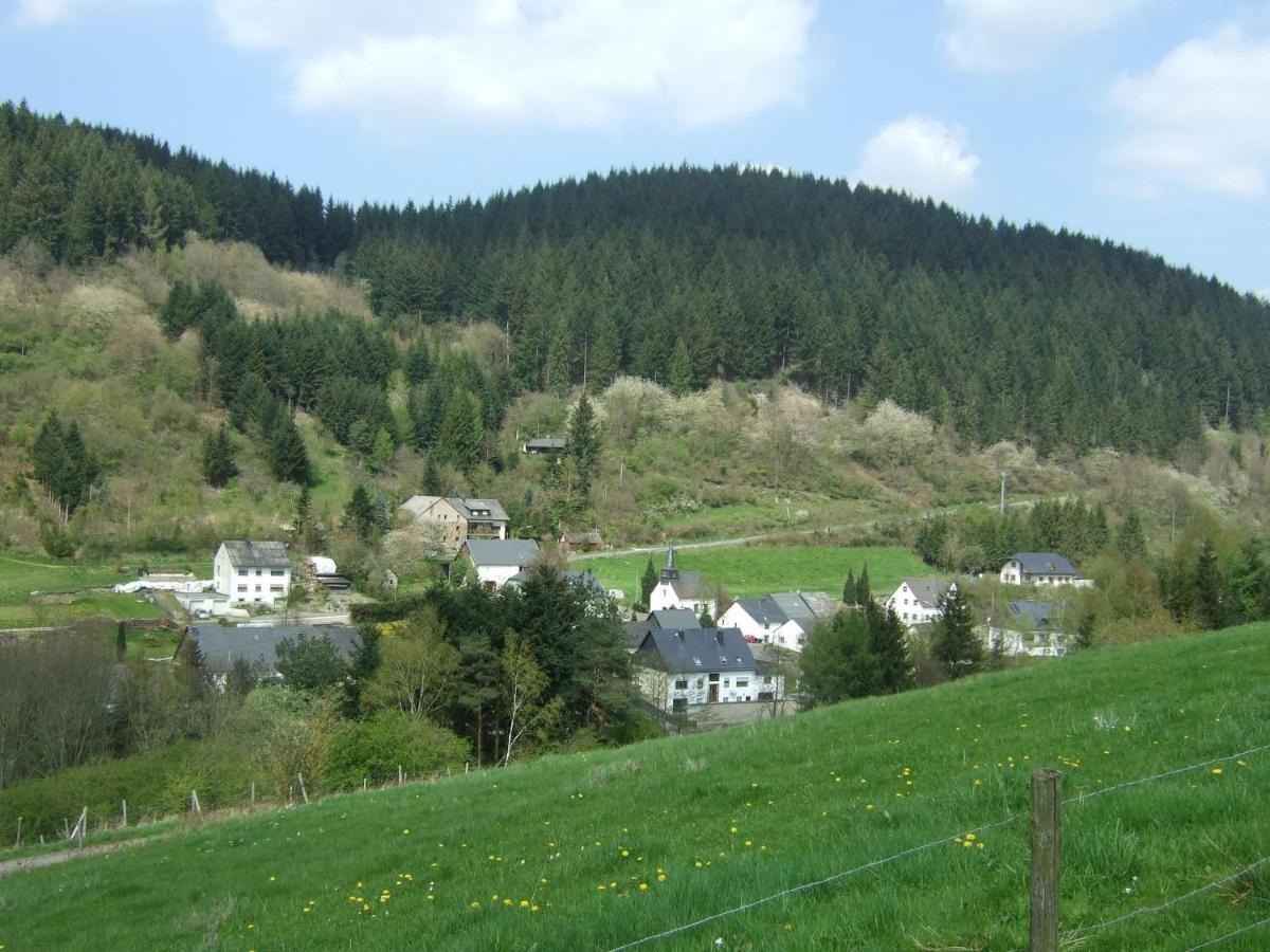 Lavish Apartment In Merschbach Near The Forest Eksteriør billede